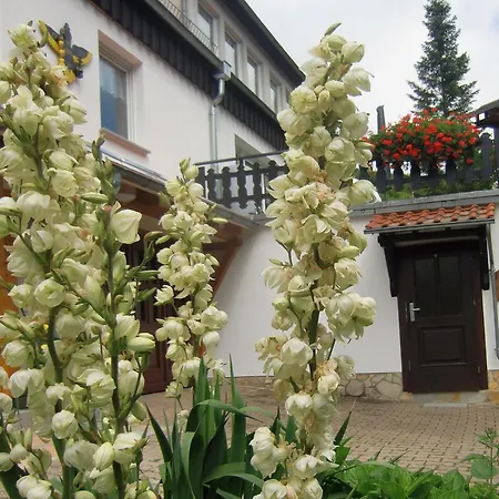 Ferienhaus Haus am Wald-3